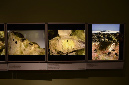 Wasp_exhibition__DSC3460